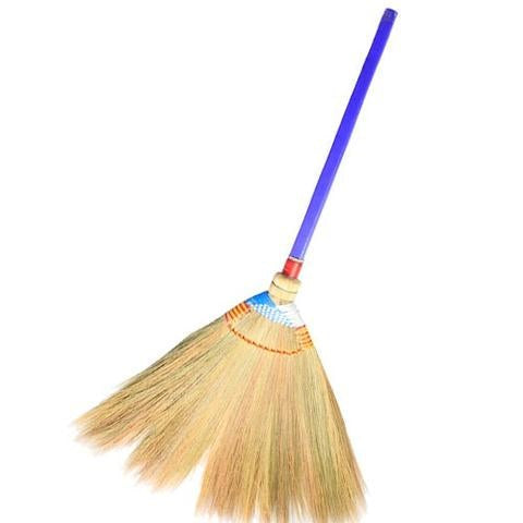 Broom / Lanot
