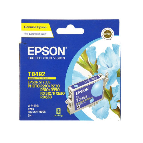 Epson T049190 T0491 Inkjet Cartridge Black
