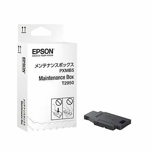 Epson C13T295000  Maintenance Box